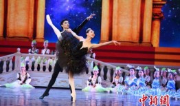 独舞天鹅爆料视频大全下载,揭秘幕后精彩瞬间